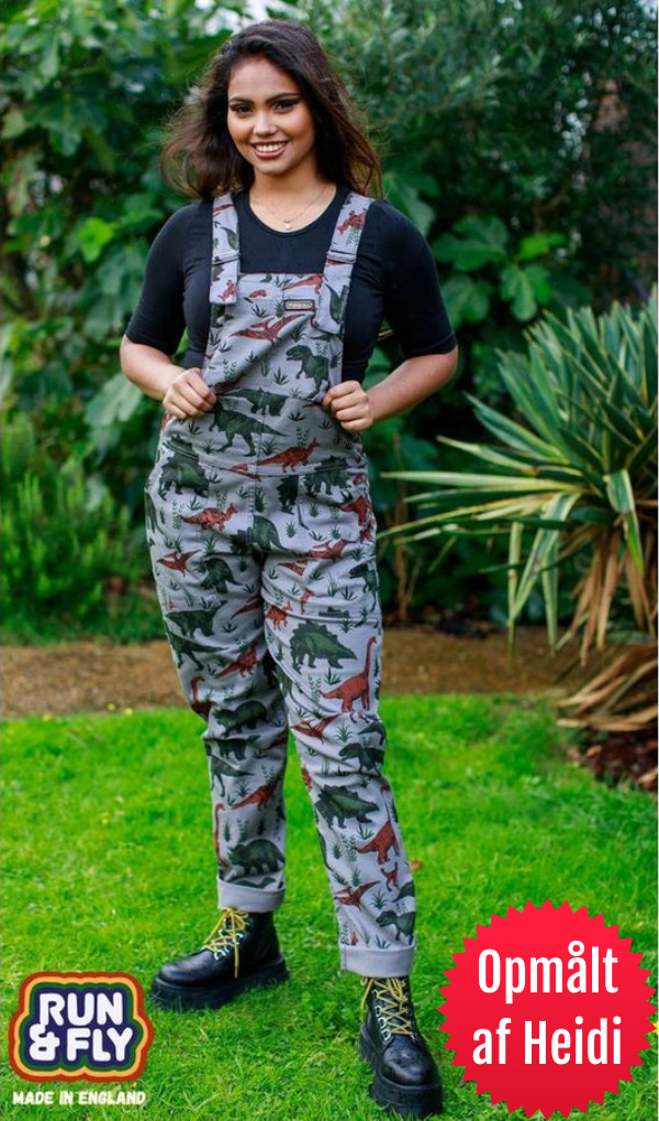 Dungarees Grey Adventure Dinosaur