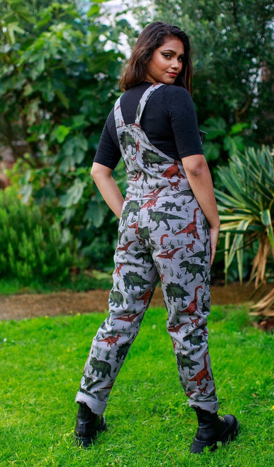 Dungarees Grey Adventure Dinosaur