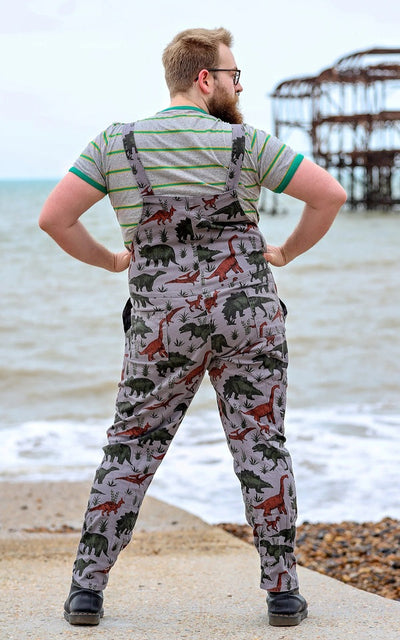 Dungarees Grey Adventure Dinosaur