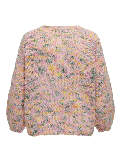 CARRAYNA Pullover Strik Multifarvet