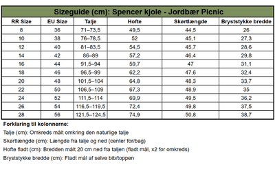 Spencerkjole med Jordbær Picnic Print - Strawberry Picnic Pinafore