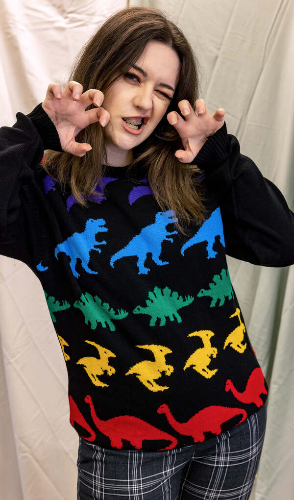 Pullover Rainbow Dinosaur Multifarvet