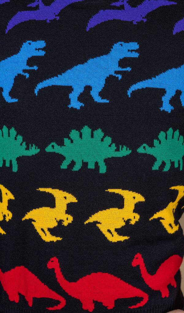 Pullover Rainbow Dinosaur Multifarvet