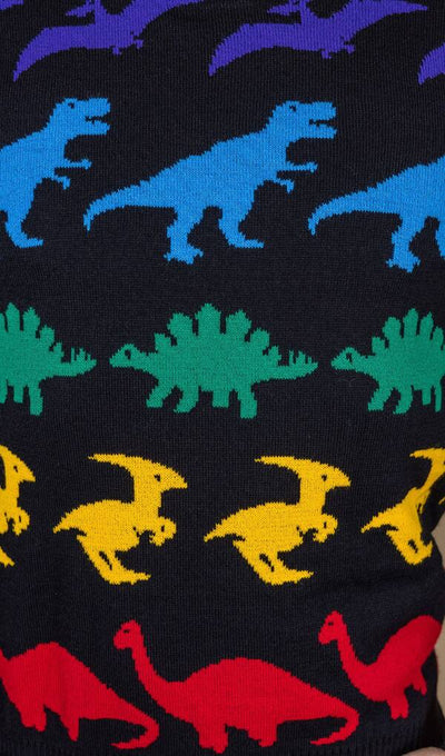 Pullover Rainbow Dinosaur Multifarvet