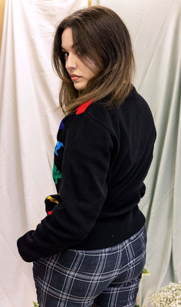 Pullover Rainbow Dinosaur Multifarvet