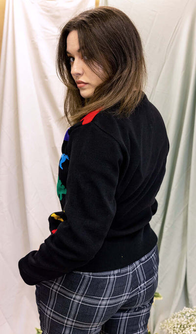 Pullover Rainbow Dinosaur Multifarvet
