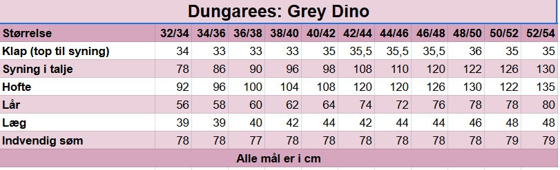 Dungarees Grey Adventure Dinosaur